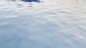www.aqualungs50.com - Barracuda 2 - Lover's Vacation thumbnail